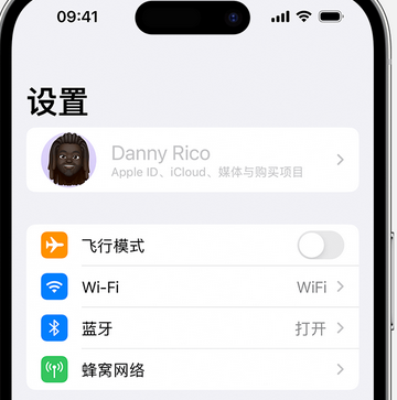 溧水appleID维修服务iPhone设置中Apple ID显示为灰色无法使用 