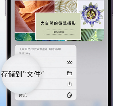 溧水apple维修中心分享iPhone文件应用中存储和找到下载文件