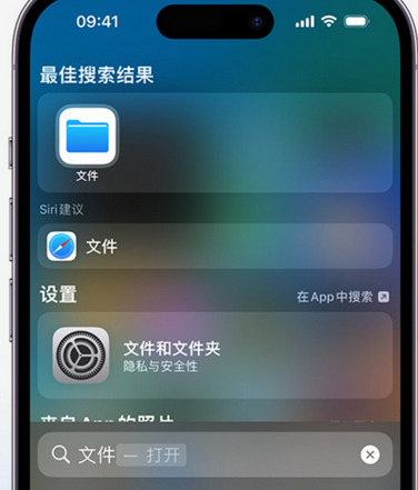 溧水apple维修中心分享iPhone文件应用中存储和找到下载文件