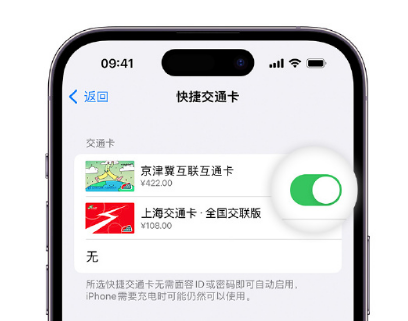 溧水apple维修点分享iPhone上更换Apple Pay快捷交通卡手绘卡面 