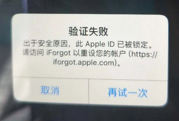 溧水iPhone维修分享iPhone上正常登录或使用AppleID怎么办 