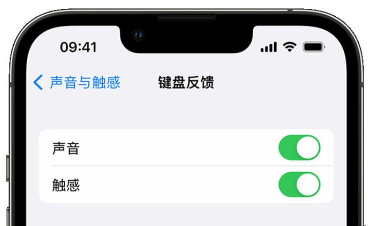 溧水苹果手机维修分享iPhone 14触感键盘使用方法 