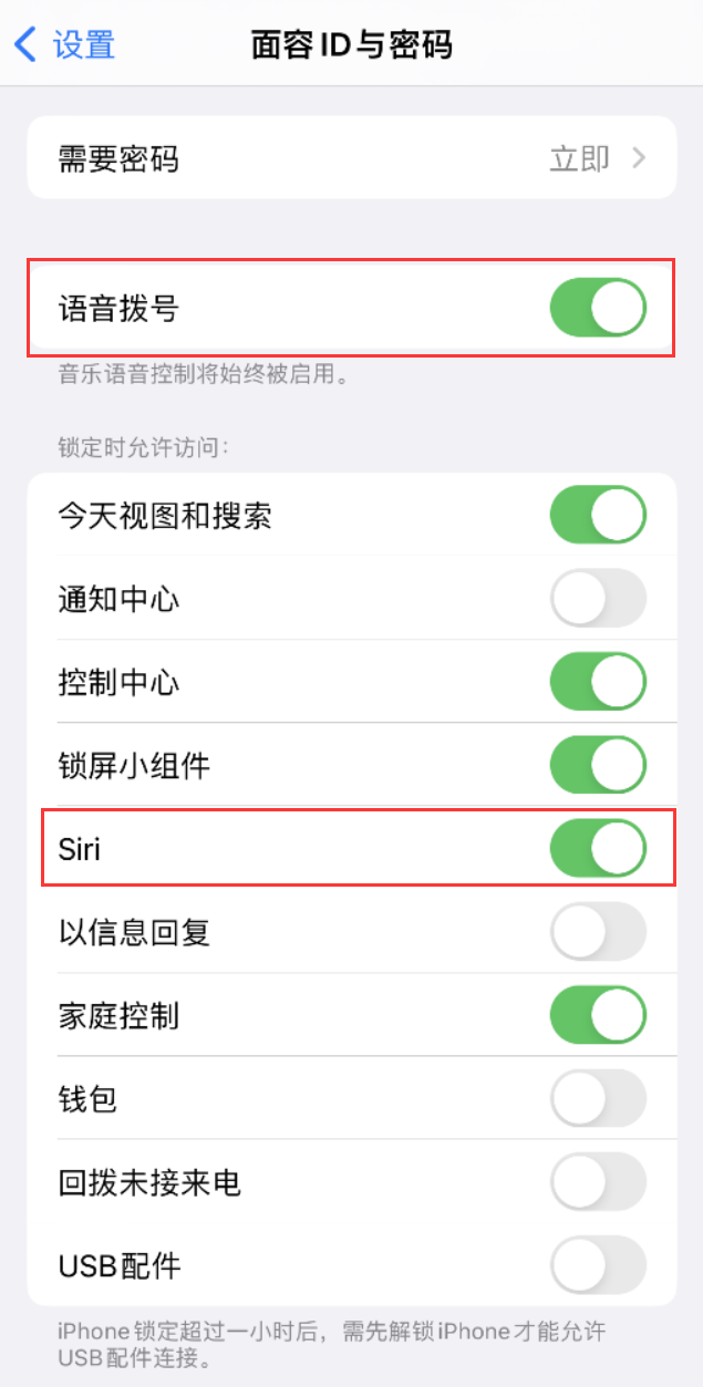 溧水苹果维修网点分享不解锁 iPhone 的情况下通过 Siri 拨打电话的方法 