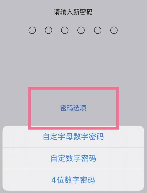 溧水苹果14维修分享iPhone 14plus设置密码的方法 