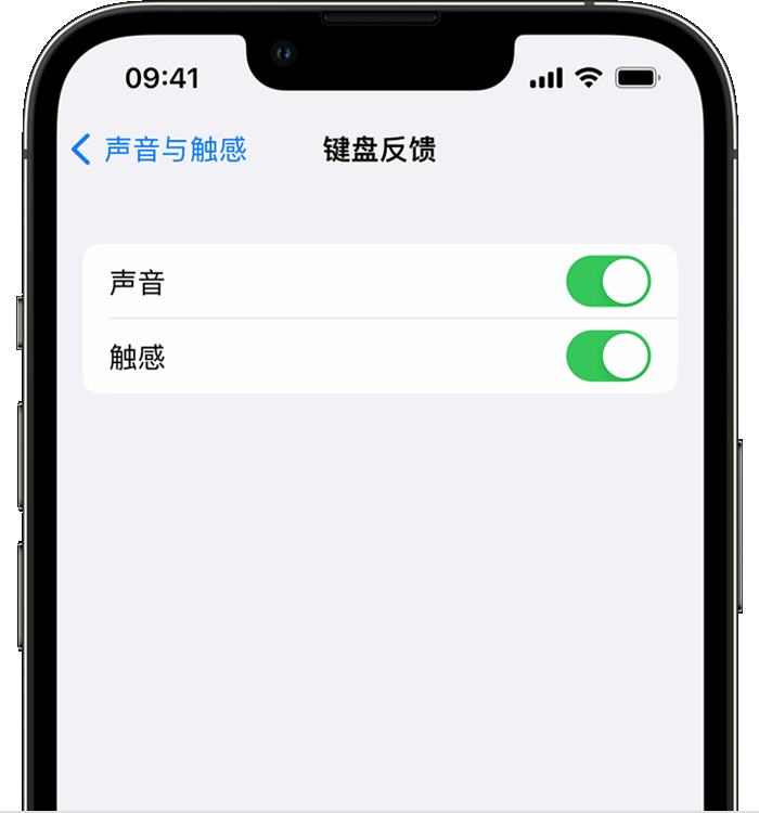 溧水苹果14维修分享iPhone 14 系列机型如何开启键盘声音或触感反馈 