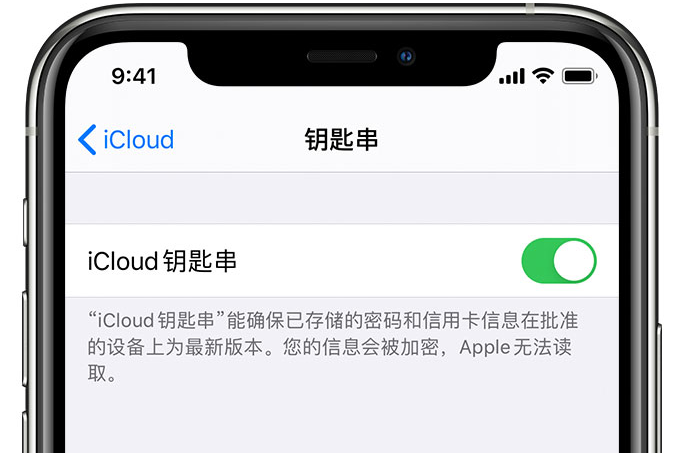 溧水苹果手机维修分享在 iPhone 上开启 iCloud 钥匙串之后会储存哪些信息 