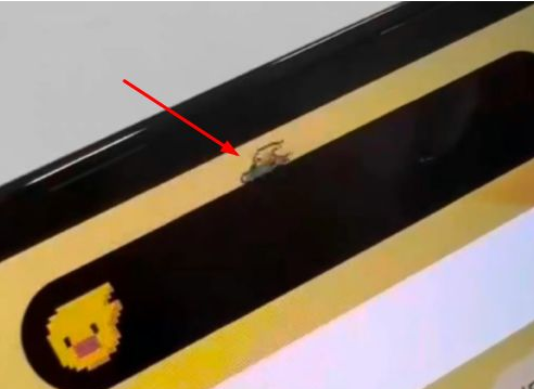 溧水苹果14维修分享iPhone 14 Pro Max灵动岛怎么养宠物 