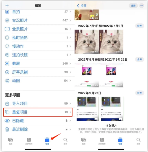溧水苹果手机维修分享iOS 16 中相册重复项目功能使用方法 