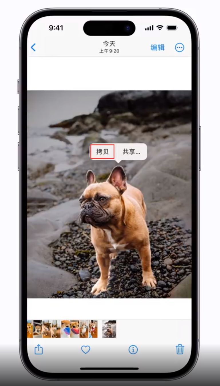 溧水苹果手机维修分享 iOS 16 自带一键抠图功能 