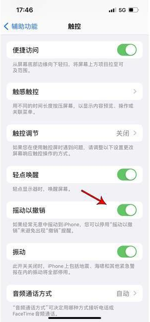 溧水苹果手机维修分享iPhone手机如何设置摇一摇删除文字 