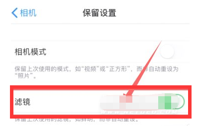 溧水苹果13维修分享iPhone13拍照有绿点是怎么回事 