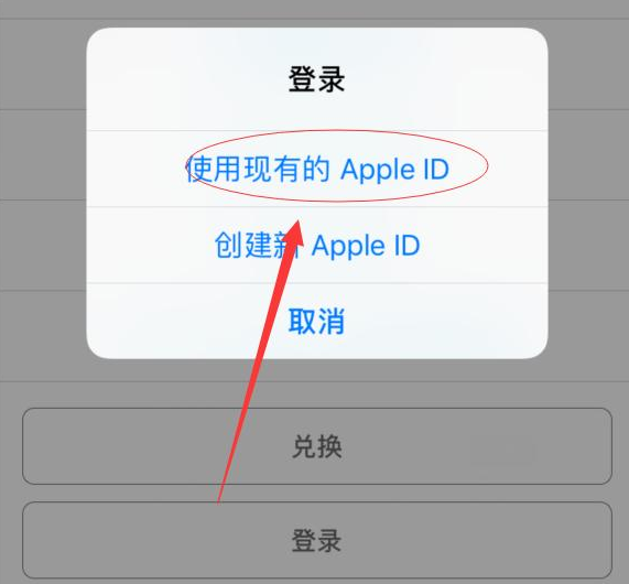 溧水苹果手机维修分享两台iPhone设备可以同时登录一个Apple ID吗 