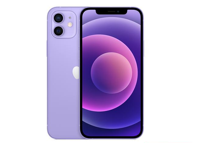 溧水苹果手机维修分享现阶段要不要入手紫色版iPhone12 