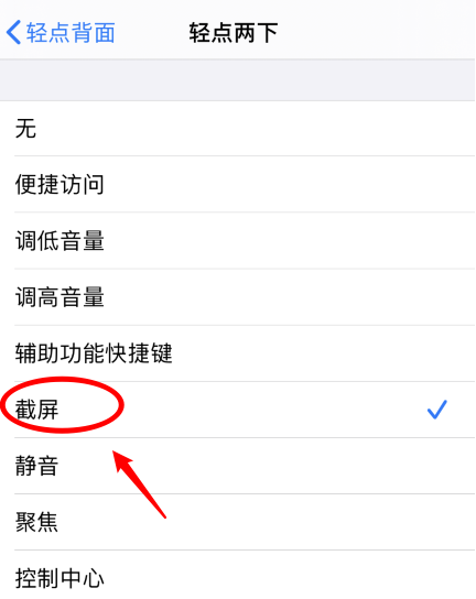 溧水苹果手机维修分享iPhone12如何启用双击截屏 