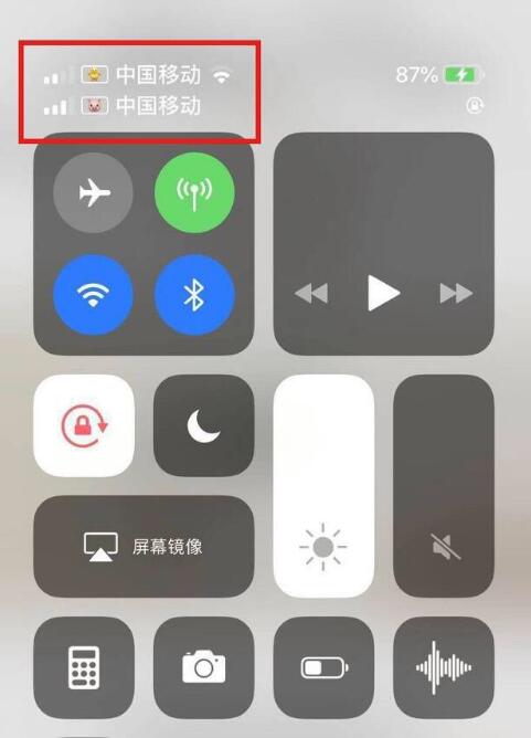 溧水苹果手机维修分享为 iPhone 12 双卡设置标签 