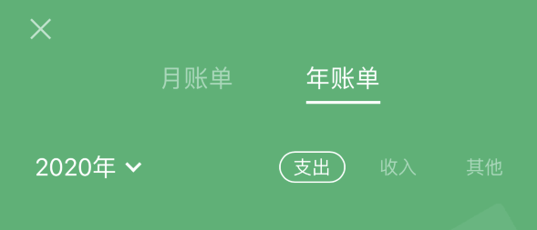 溧水苹果手机维修分享如何在 iPhone 上查看支付宝和微信年支出账单 
