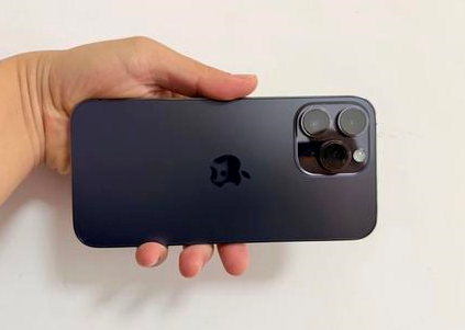 溧水苹果维修点分享iPhone 14 Pro Max黑屏少见故障盘点 